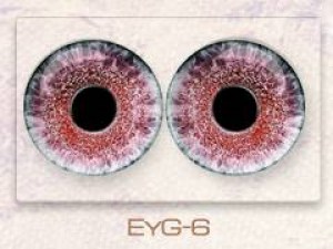 EyG-6